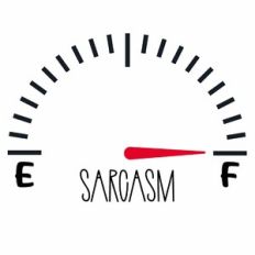Sarcasm Meter