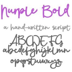 ZP Nurple Bold