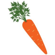 Carrot
