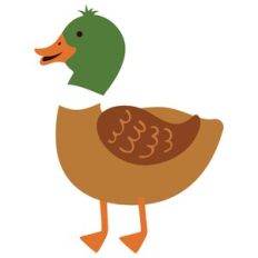 Duck