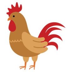 Rooster