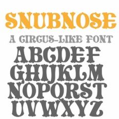 ZP Snubnose
