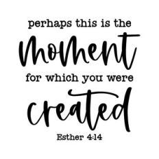 perhaps this is the moment for which you were created