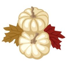 White Pumpkins