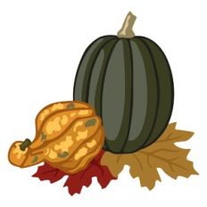 Gourds