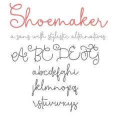 ZP Shoemaker