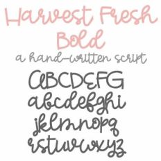 PN Harvest Fresh Bold