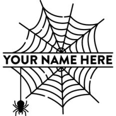 Personalized Spider Web