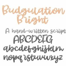 PN Budgulation Bright