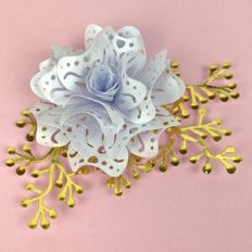 LACY FLOWER 49 WITH FOLIAGE