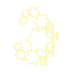 LAYOUT SHINE