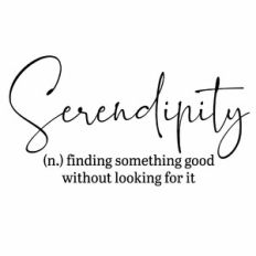 Serendipity Definition Quote