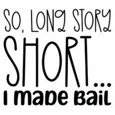So Long Story Short I Made Bail Quote