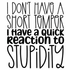 I Don't Have A Short Temper I Have A Quick Reaction To Stupidity Quote