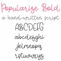 PN Popularize Bold
