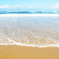 Beach Ocean Waves