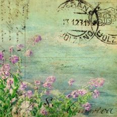 Vintage Postcard Ephemera