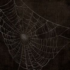 Creepy Spiderweb Background
