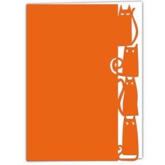 Cute Cat Lace Edged Card