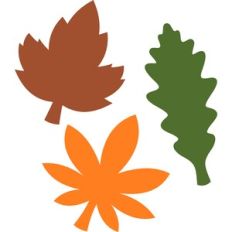 autumn leaves