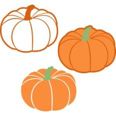 autumn pumpkin