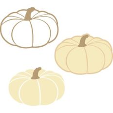 autumn pumpkin