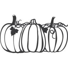 Pumpkin Line
