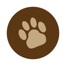 Bear Paw