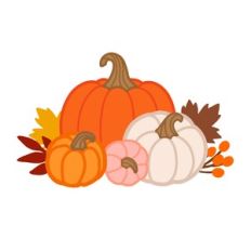 Pumpkins and Leaves