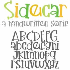 ZP Sidecar