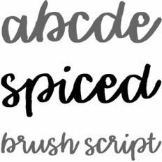 spiced brush script font