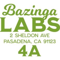 Bazinga Labs