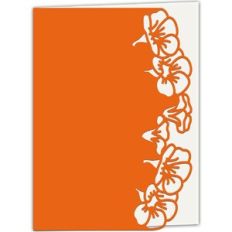 Nasturtium Flower Lace Edged Card