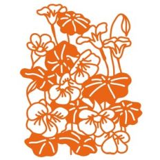 Nasturtium Flowers