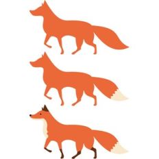 foxes