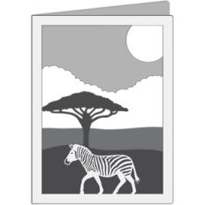 zebra in the jungle card