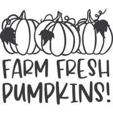 Farm Fresh Pumpkins