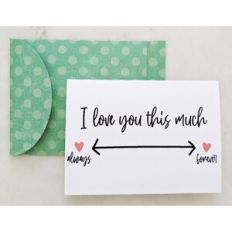 i love you this much card and envelope