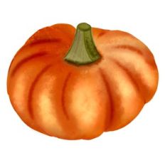 Pumpkin Clipart