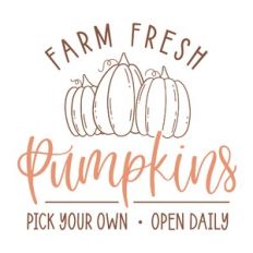 Farm Fresh Pumpkins Pick Your Own
