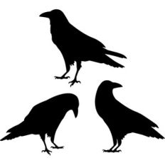 Ravens