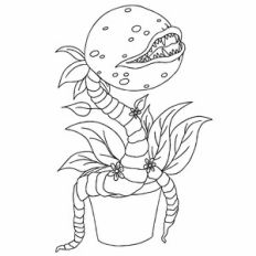 Venus Flytrap