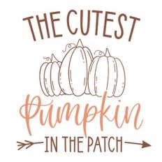 The Cutest Pumpkin in the Patch