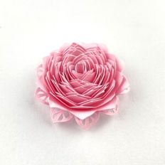 LACY SPIRAL FLOWER 01