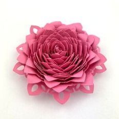 LACY SPIRAL FLOWER 06