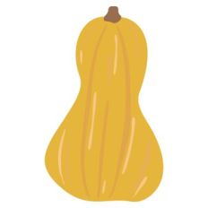 Gourd