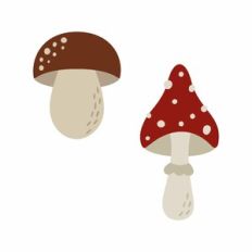 Mushrooms