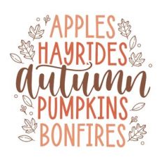 Favorite Autumn Activities