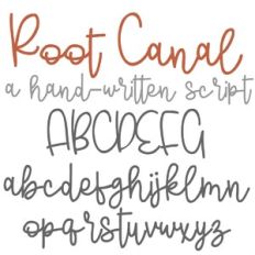 PN Root Canal