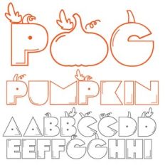 PN Pog Pumpkin